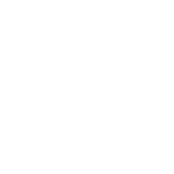 whalebone